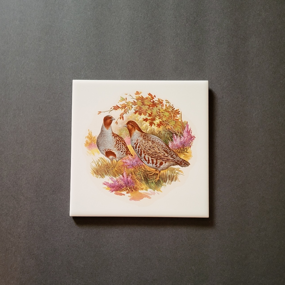 Hyalyn Tile Decor Trivit